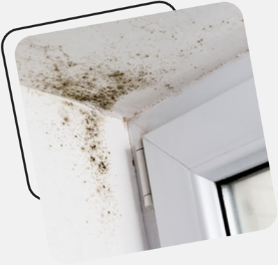 KFW Kredit Ahrensburg